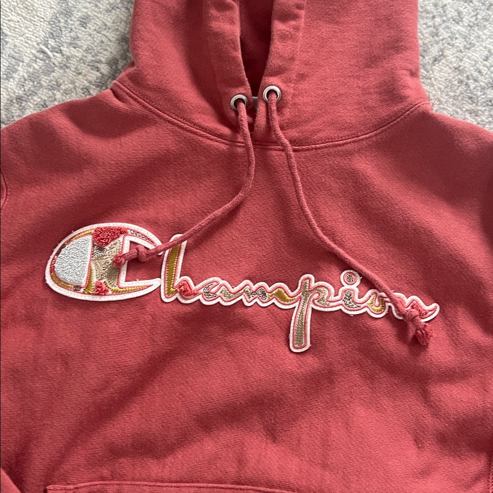 Champion Reverse Weave Pullover Hoodie Sweatshirt women’s small